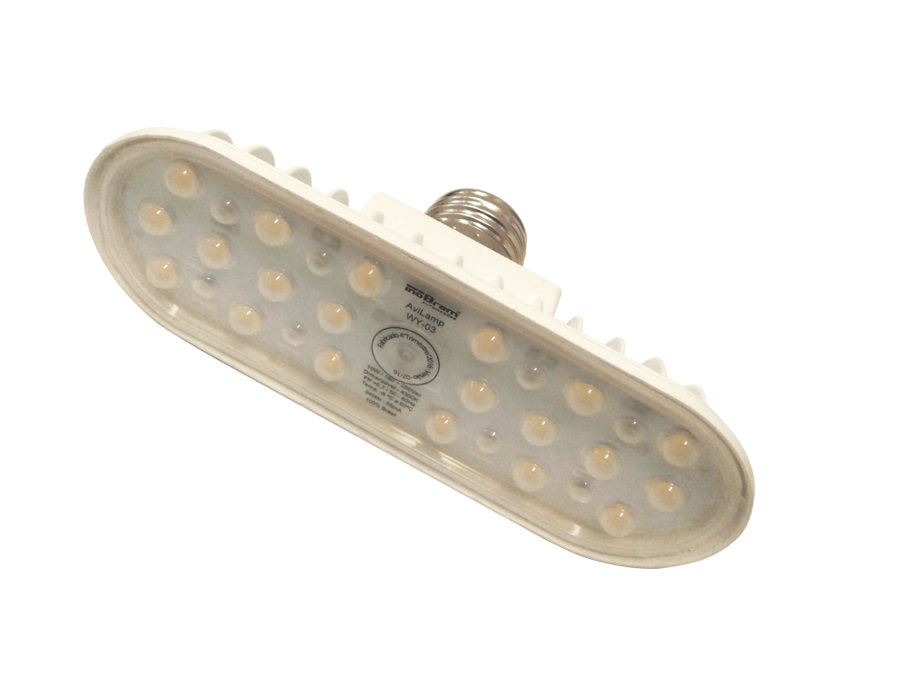 Imagem Lâmpada Led Avilamp WY-04